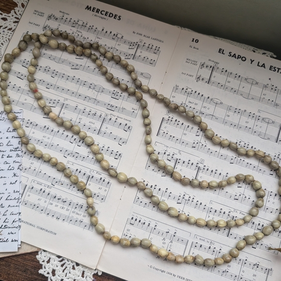 Vintage Beaded Seed Necklace - Picture 1 of 7